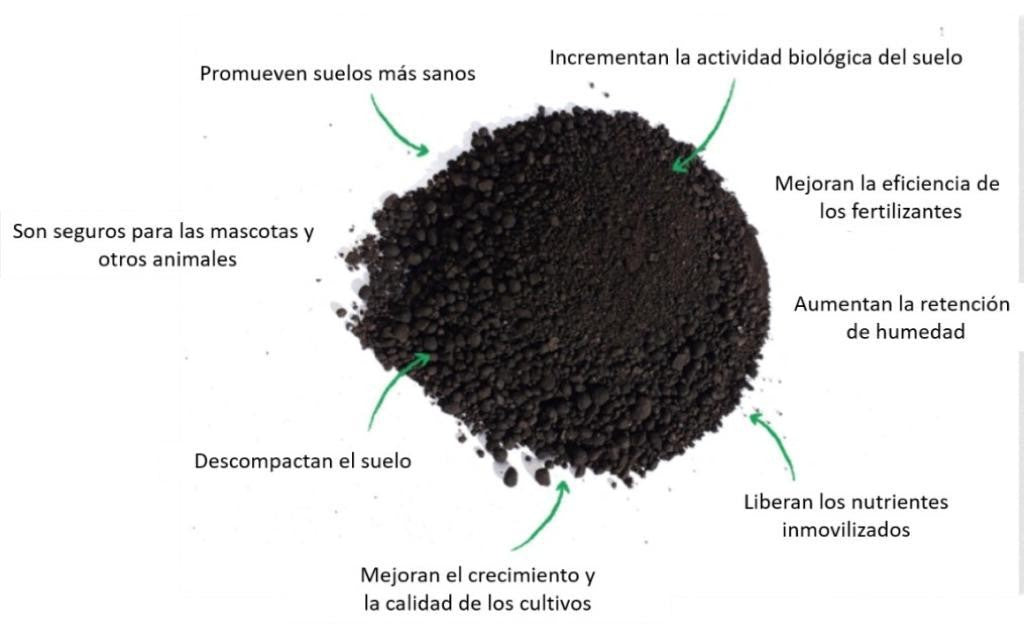 🌿 Mejorador de Suelo Granulado con Leonardita 🌱 | ¡Aumenta Producción y ...